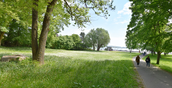 Panorama 05k