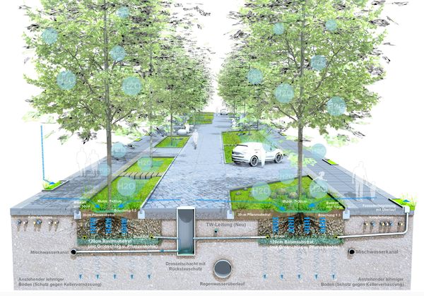 Prinzipschnitt regenwasserbewirtschaftung