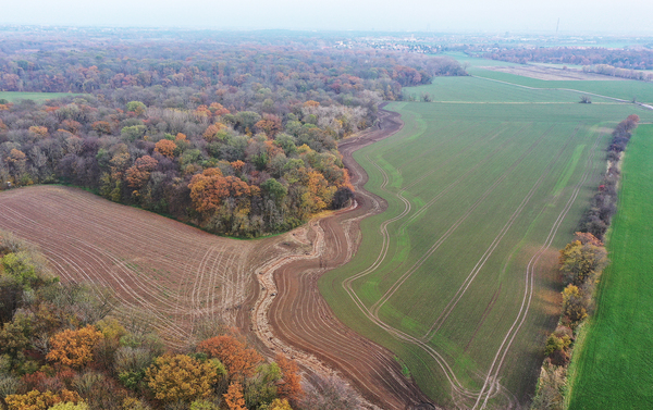 Bgmr zschampert herbst23 birdeye1 farb low